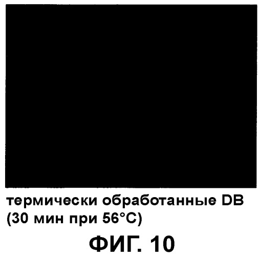 Композиция, содержащая частицы hcmv (патент 2505314)