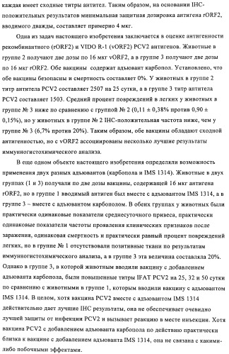 Поливалентные иммуногенные композиции pcv2 и способы получения таких композиций (патент 2488407)