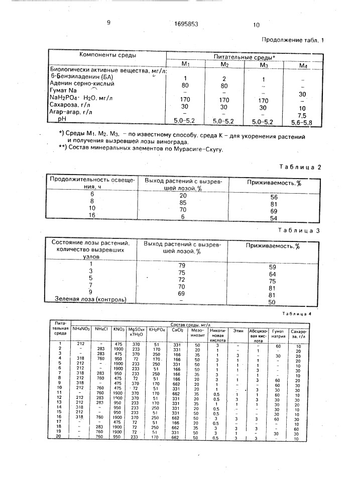 Способ размножения винограда (патент 1695853)