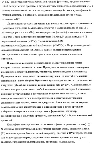 Композиции и способы диагностики и лечения опухоли (патент 2430112)