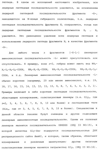 Химерные, гибридные и тандемные полипептиды менингококкового белка nmb1870 (патент 2431671)