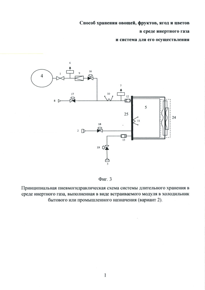 Способ хранения овощей, фруктов, ягод и цветов в среде инертного газа и система для его осуществления (варианты) (патент 2632865)