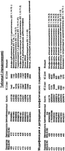 Гены corynebacterium glutamicum, кодирующие белки, участвующие в гомеостазе и адаптации (патент 2304616)