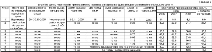 Способ создания долговременных плантаций кандыма голова медузы calligonum caput - medusae schrenk (патент 2368112)