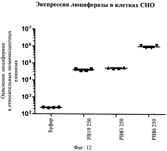 Связанные дисульфидной связью конъюгаты полиэтиленгликоля/пептида для трансфекции нуклеиновых кислот (патент 2552352)