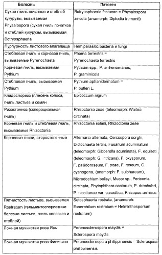 Способ повышения стойкости к стрессовым факторам в растениях (патент 2375452)