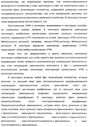 Селективная посттрансляционная модификация экспонируемых фагами полипептидов (патент 2459866)