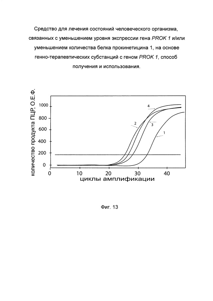 Средство для лечения состояний человеческого организма, связанных с уменьшением уровня экспрессии гена prok 1 и/или уменьшением количества белка прокинетицина 1 на основе генно-терапевтических субстанций с геном prok 1, способ получения и использования (патент 2662944)