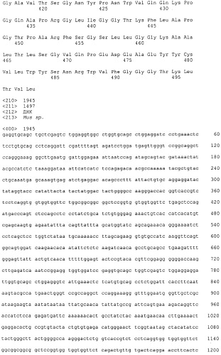 Pscaxcd3, cd19xcd3, c-metxcd3, эндосиалинxcd3, epcamxcd3, igf-1rxcd3 или fap-альфаxcd3 биспецифическое одноцепочечное антитело с межвидовой специфичностью (патент 2547600)