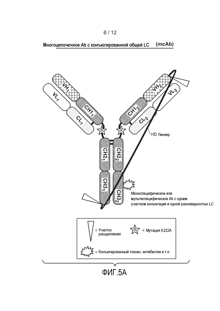 Одноцепочечные антитела и другие гетеромультимеры (патент 2644341)