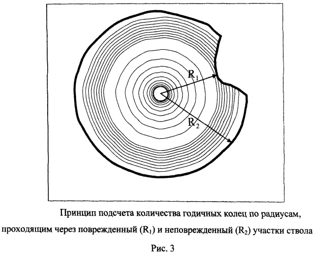 Способ определения поражения селями горной долины (патент 2519807)