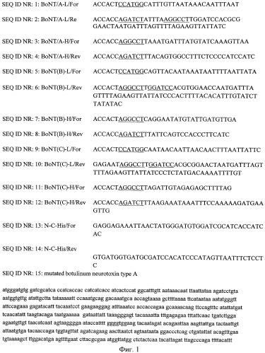 Peg-илированный мутированный токсин clostridium botulinum (патент 2426739)