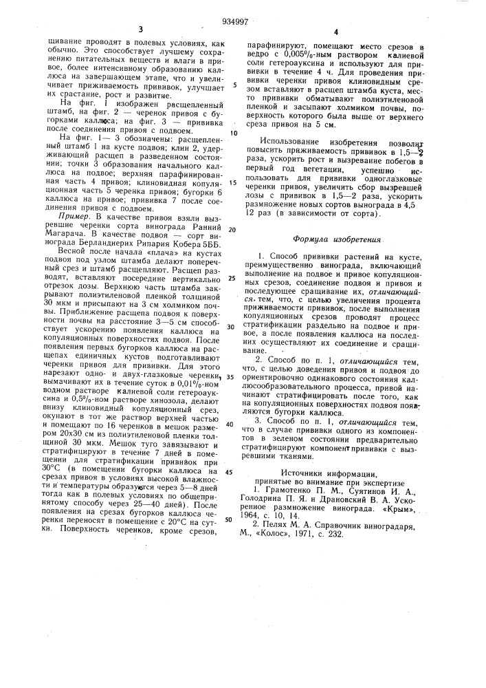 Способ прививки растений на кусте (патент 934997)