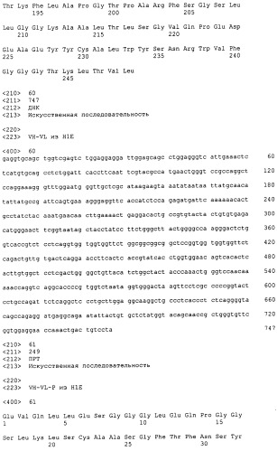 Psma×cd3 биспецифическое одноцепочечное антитело с межвидовой специфичностью (патент 2559531)