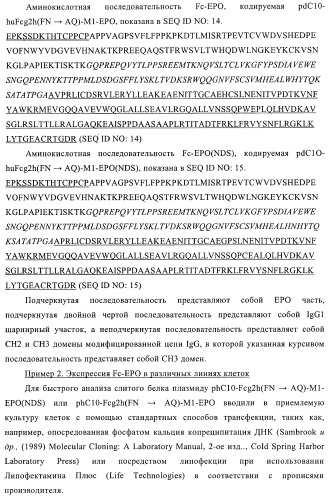 Fc-эритропоэтин слитый белок с улучшенной фармакокинетикой (патент 2370276)