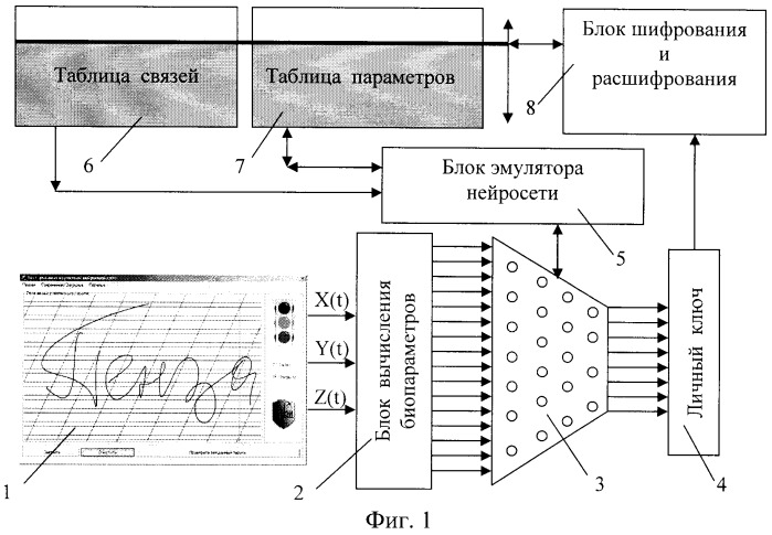 Способ защиты персональных данных биометрической идентификации и аутентификации (патент 2346397)