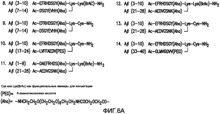Композиции пептидного конъюгата и способы для профилактики и лечения болезни альцгеймера (патент 2406529)