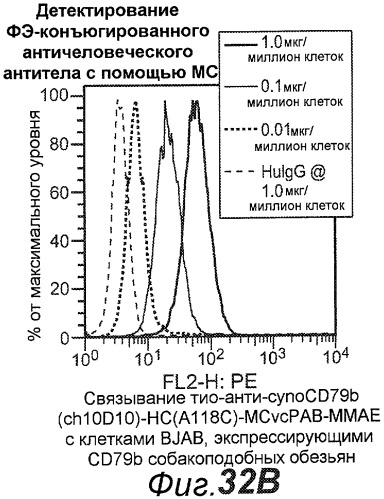 Анти-cd79b антитела и иммуноконъюгаты и способы их применения (патент 2511410)