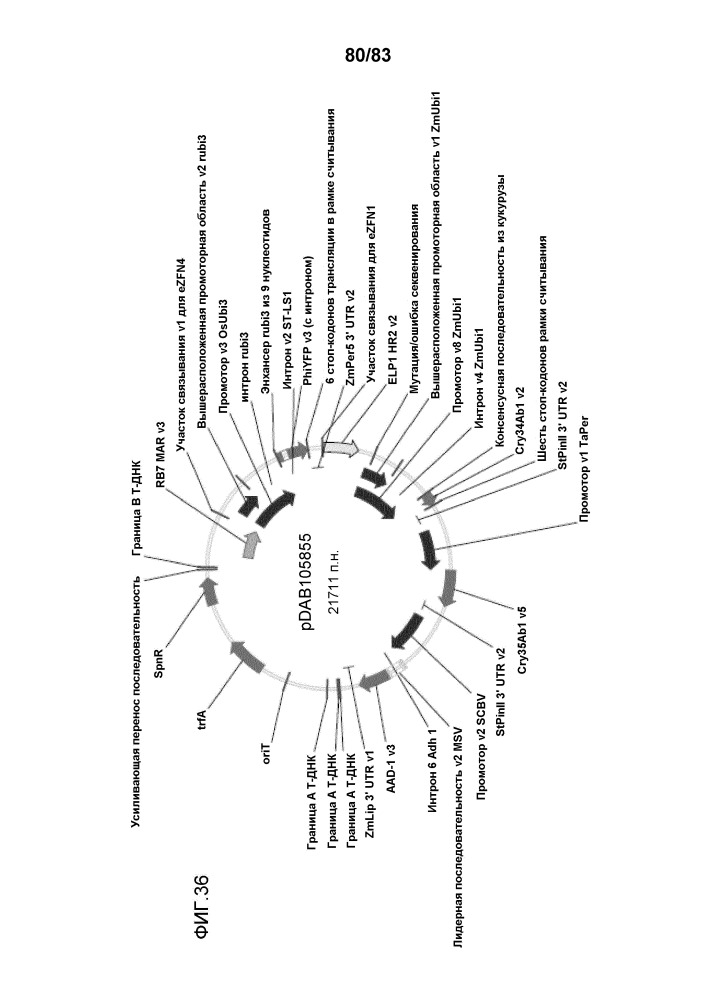 Сконструированная способами инженерии платформа для встраивания трансгена (etip) для нацеливания генов и стэкинга признаков (патент 2666916)
