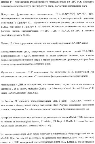 Экспонирование т-клеточных рецепторов (патент 2346004)