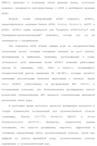 Пиримидиновые соединения, композиции и способы применения (патент 2473549)