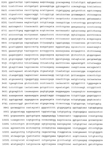 Применение s1p (патент 2362565)