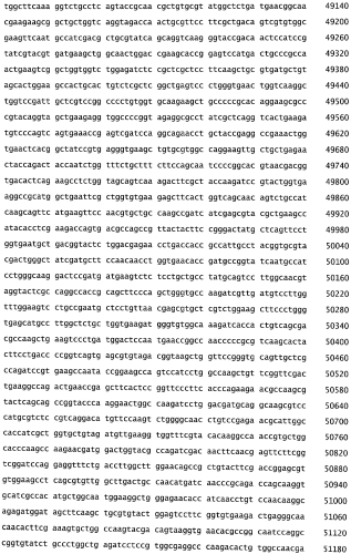 Бактериофаг, обладающий активностью против pseudomonas aeruginosa, белки бактериофага и способы их применения (патент 2580248)