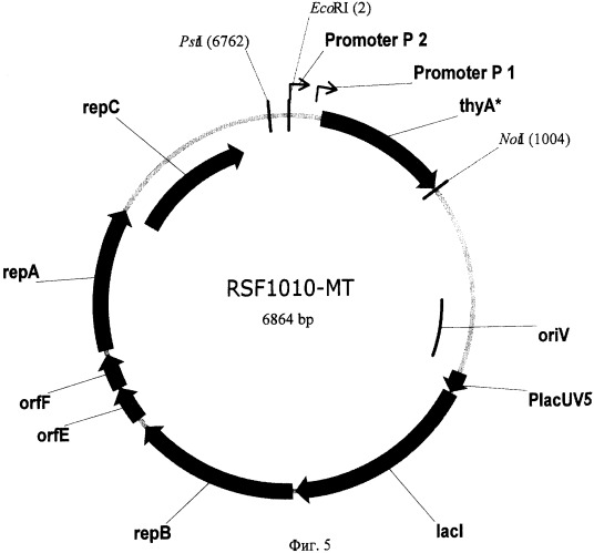 ob&#39;-производная плазмида rsf1010, не содержащая гены устойчивости к антибиотикам, бактерия, содержащая указанную плазмиду, и способ получения полезных метаболитов (патент 2306338)