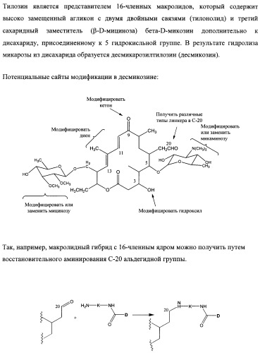 Новые нестероидные противовоспалительные вещества, составы и способы их применения (патент 2342398)