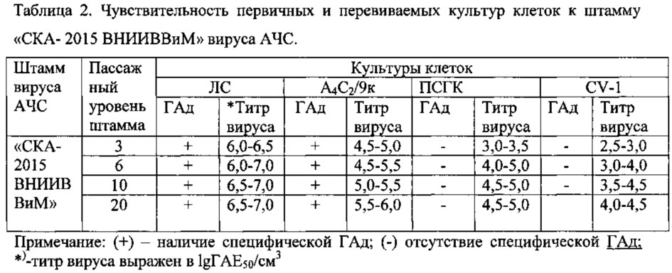 Аттенуированный штамм "ска-2015 внииввим" вируса африканской чумы свиней viii серотипа для вирусологических и молекулярно-генетических исследований (патент 2607791)