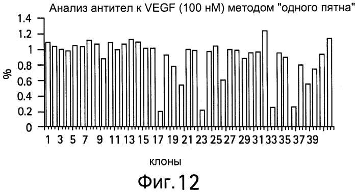 Полиспецифические антитела (патент 2547596)