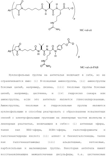 Антитела и иммуноконъюгаты и их применение (патент 2483080)