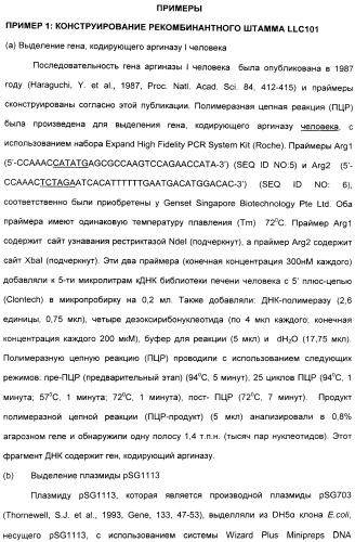 Фармацевтический препарат и способ лечения злокачественных опухолей у человека с помощью аргининовой депривации (патент 2335539)