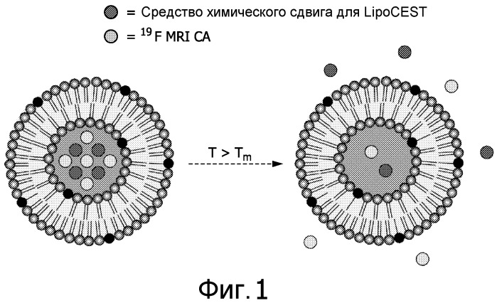 Носитель лекарственного средства, обеспечивающий контрастное усиление при мрт (патент 2528104)