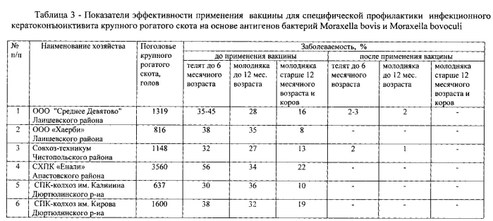 Вакцина против инфекционного кератоконъюнктивита крупного рогатого скота на основе антигенов бактерий moraxella bovis и moraxella bovoculi (патент 2589819)