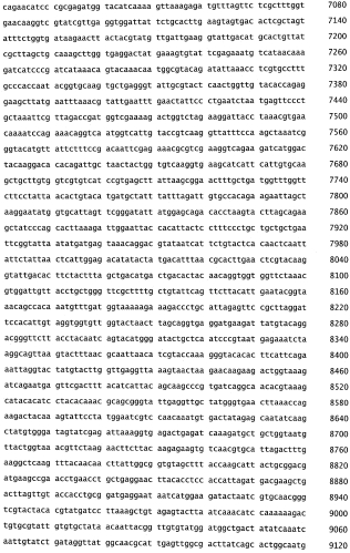 Бактериофаг, обладающий активностью против pseudomonas aeruginosa, белки бактериофага и способы их применения (патент 2580248)