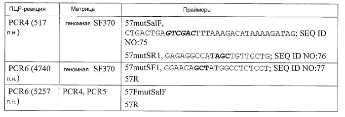 Мутантные антигены gas57 и антитела против gas57 (патент 2471497)