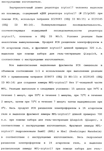 Новый лиганд рецептора цитокина zcytor17 (патент 2360923)