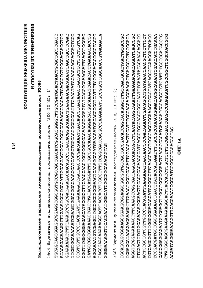 Композиции neisseria meningitidis и способы их применения (патент 2665841)