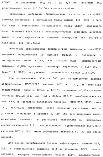 Антитела к her (патент 2504553)