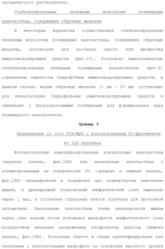 Включение адъюванта в иммунонанотерапевтические средства (патент 2496517)