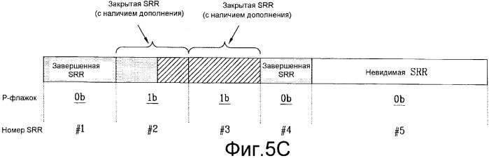 Оптический диск однократной записи и способ записи на нем управляющей информации (патент 2361295)