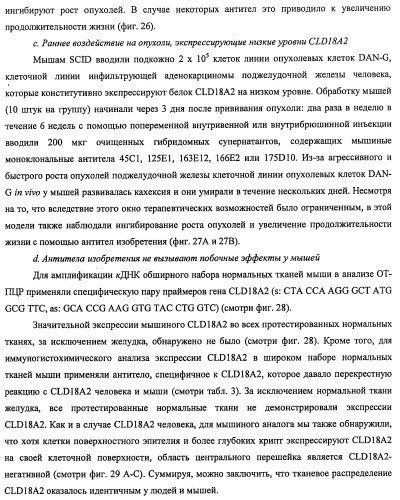 Моноклональные антитела к клаудину-18 для лечения рака (патент 2445319)
