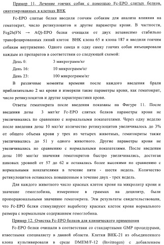Fc-эритропоэтин слитый белок с улучшенной фармакокинетикой (патент 2370276)