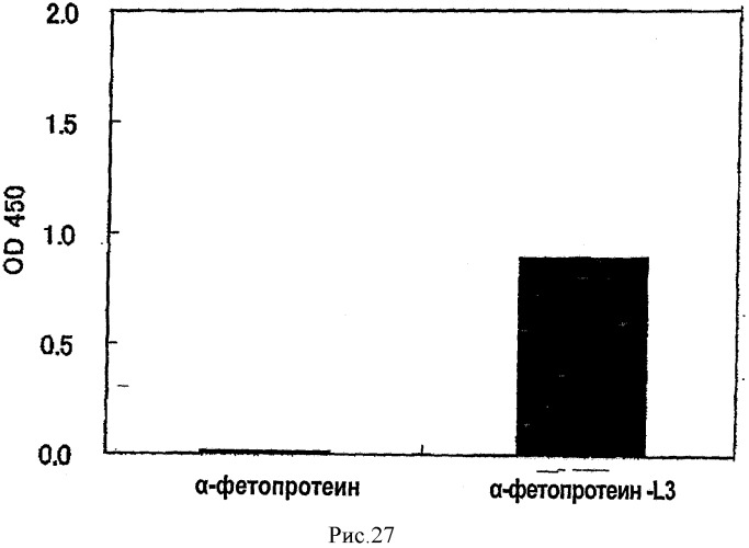 L-фукоза α1→6 специфичный лектин (патент 2524425)
