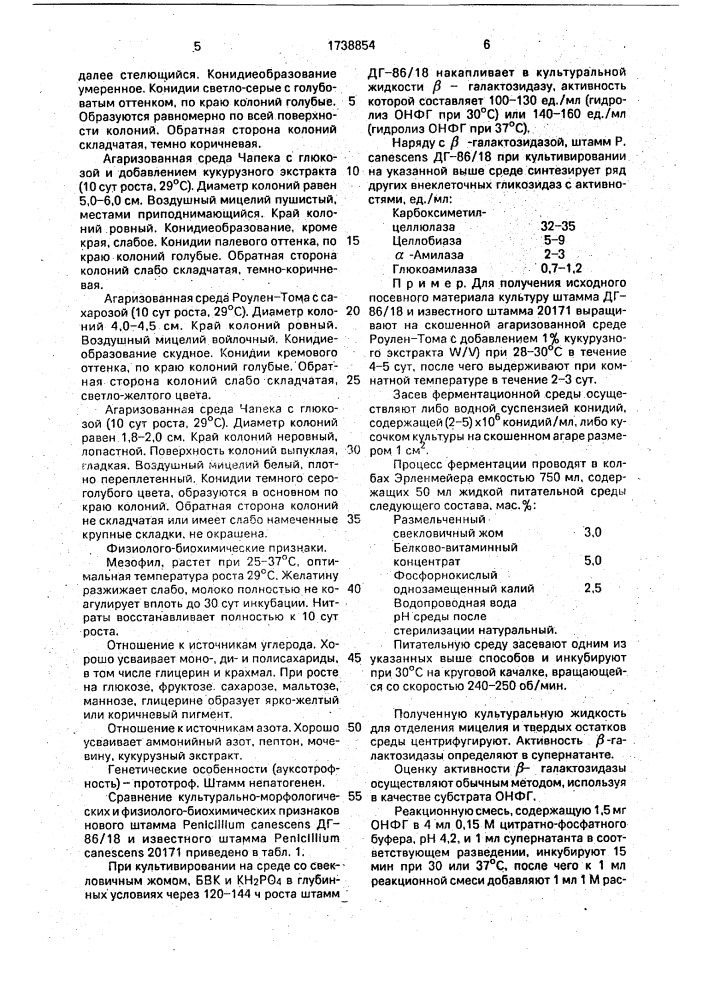 Штамм гриба реniсilliuм canescens - продуцент @ - галактозидазы (патент 1738854)
