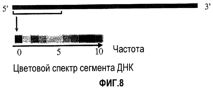 Способы и системы идентификации паттернов днк при помощи спектрального анализа (патент 2466458)