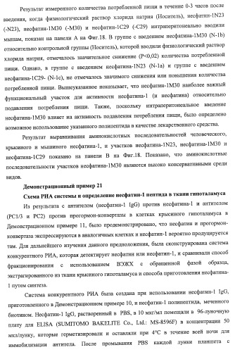 Способ получения фактора, связанного с контролем над потреблением пищи и/или массой тела, полипептид, обладающий активностью подавления потребления пищи и/или прибавления в весе, молекула нуклеиновой кислоты, кодирующая полипептид, способы и применение полипептида (патент 2418002)