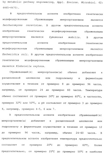Клетка-хозяин trichoderma reesei для получения целлюлолитической белковой композиции, целлюлолитическая белковая композиция, способы ее получения и применения (патент 2494146)