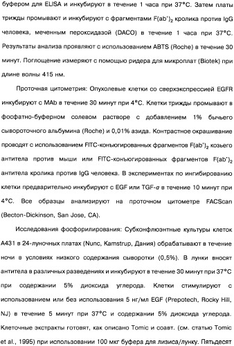 Человеческие моноклональные антитела к рецептору эпидермального фактора роста (egfr), способ их получения и их использование, гибридома, трансфектома, трансгенное животное, экспрессионный вектор (патент 2335507)